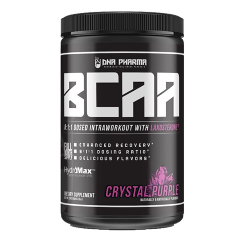 DNA Pharma BCAA 240 Gm Best Price in UAE