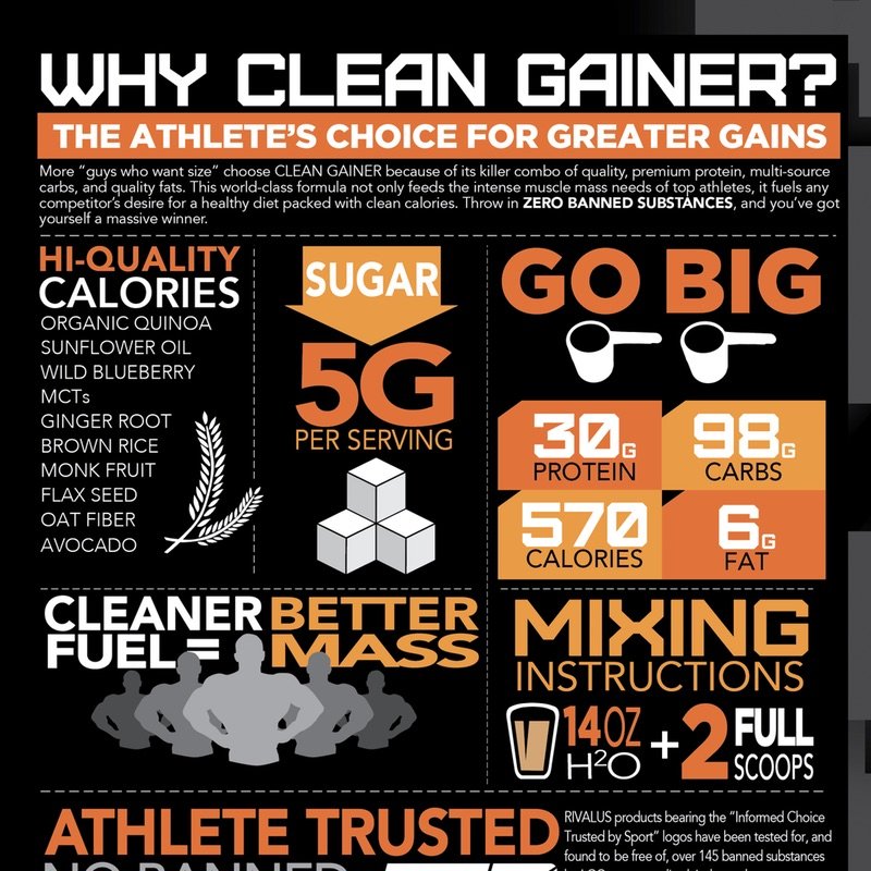 RivalUS Clean Gainer 10 lbs Qatar