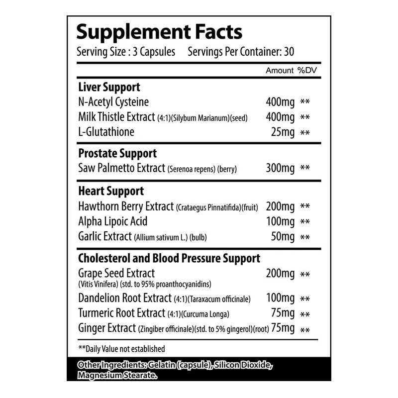 Alpha Supps Defender 90 Capsule Best Price in Dubai