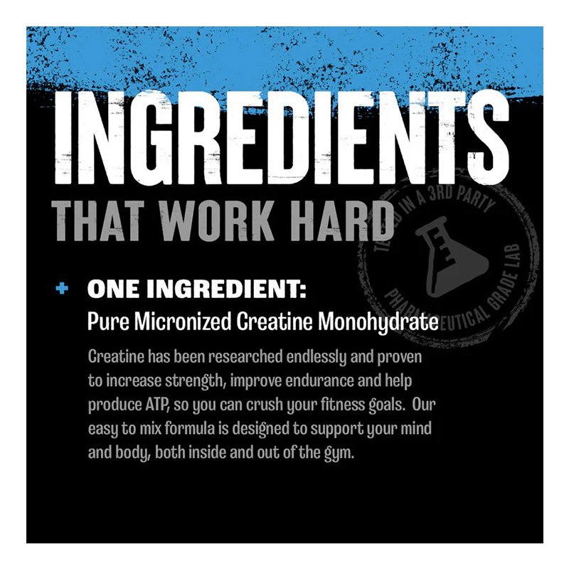 Animal Pak Animal Micornized Creatine Capsules 300 Best Price in UAE