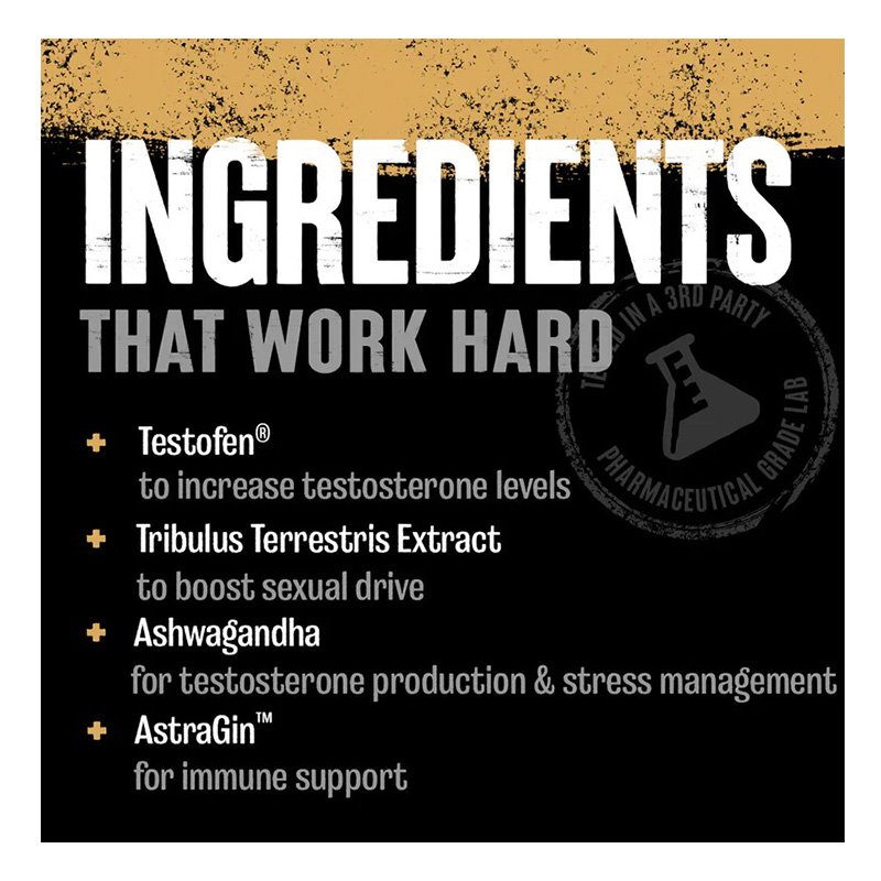 Animal TNT Plus Mens Performance Boost 30 Packs Best Price in UAE