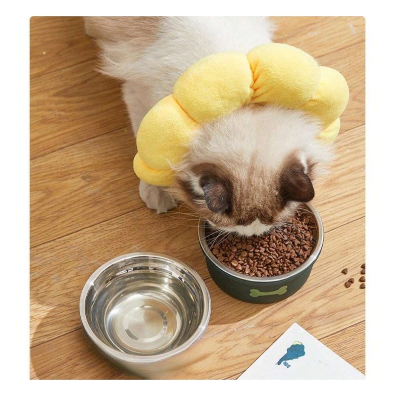 Anti-Slip Silicone Cat Feeder Bowl - 10007 Best Price in Dubai