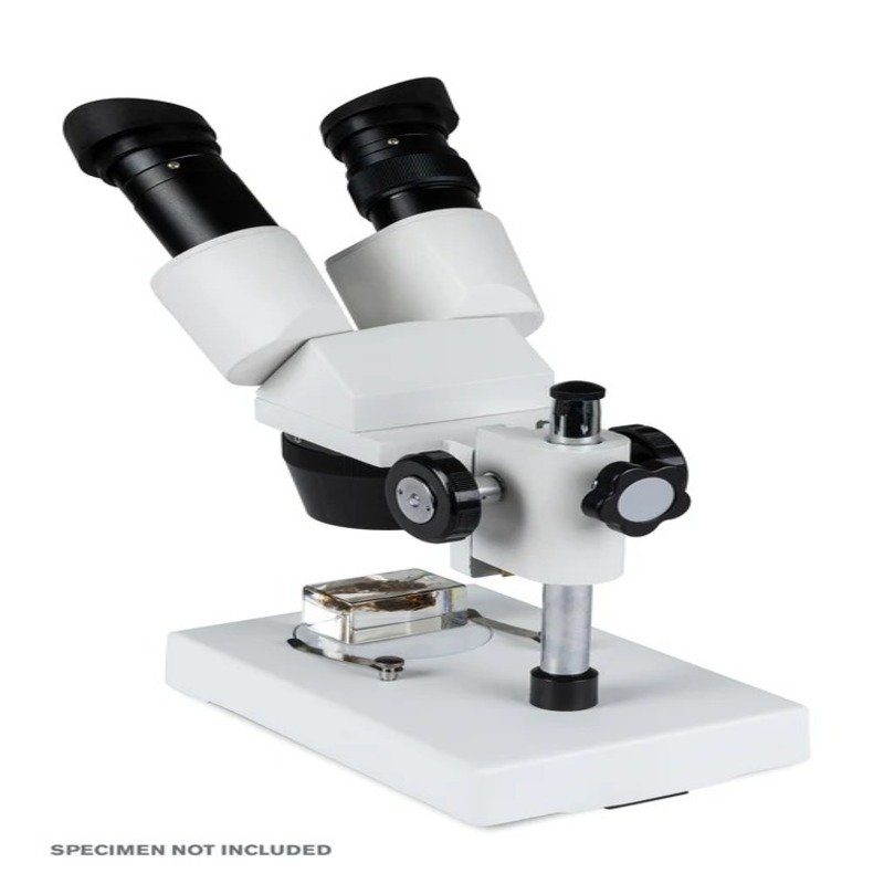 Celestron Labs S1030N Advanced Stereo Microscope Best Price in  Sharjah