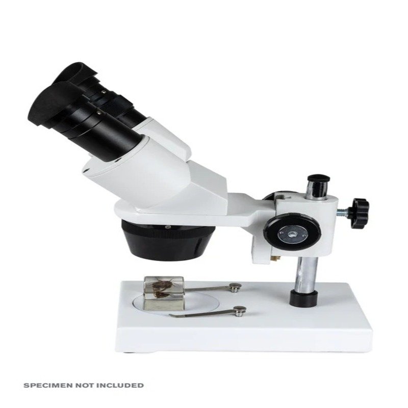 Celestron Labs S1030N Advanced Stereo Microscope Best Price in  Sharjah