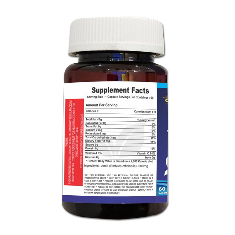 Cipzer Natural Vitamin C | 500mg Best Price in Dubai