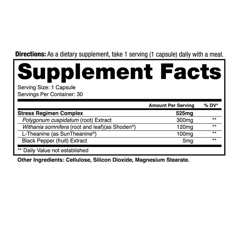 Dragon Pharma Stress Daily 30 Capsules Best Price in Dubai