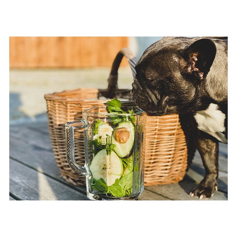 fa-so-good-super-foods-green-detox-180g-apple-fiber-03