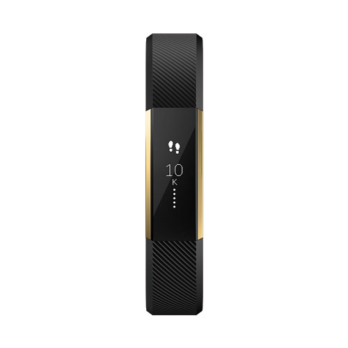 Buy Fitbit Alta Gold Black Large Dubai Abu Dhabi Sharjah Uae Middle East At Best Price By 3161