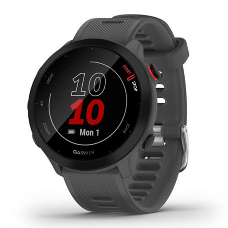Garmin Forerunner 55 Watch - Monterra Grey