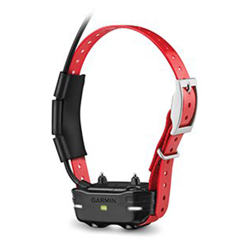 Buy Garmin PT 10 Dog Device Red Collar in Dubai, Abu Dhabi, Sharjah ...