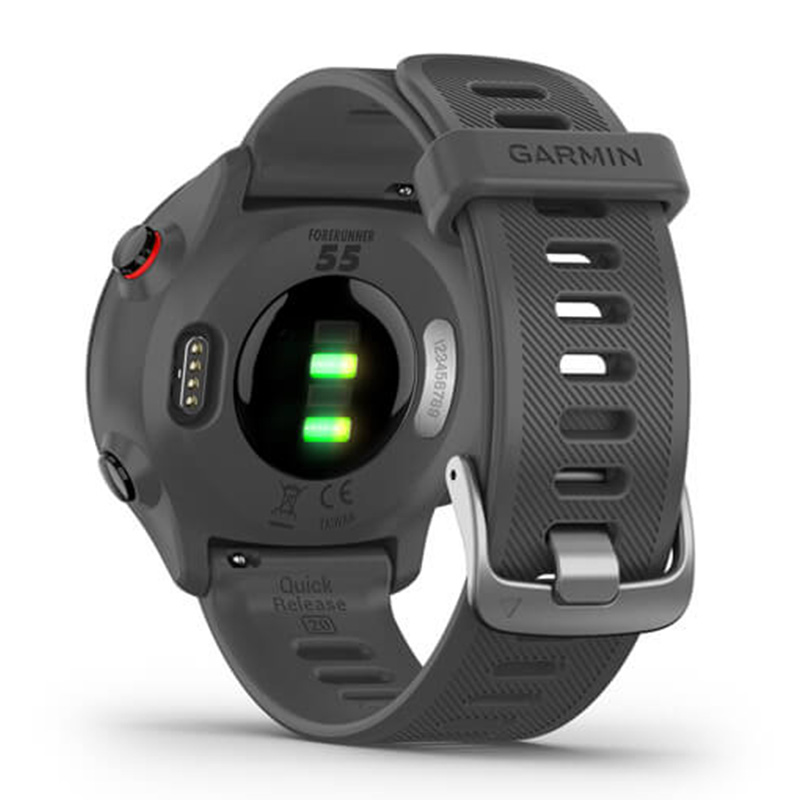 Buy Garmin Sports Forerunner 55 Monterra Grey Watch in Dubai, Abu Dhabi ...