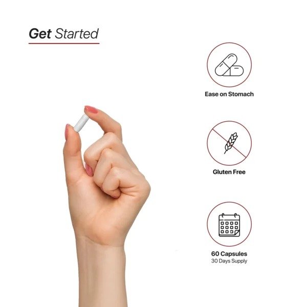 HC Nutrition NAC 1000mg 60 Capsules Best Price in Dubai