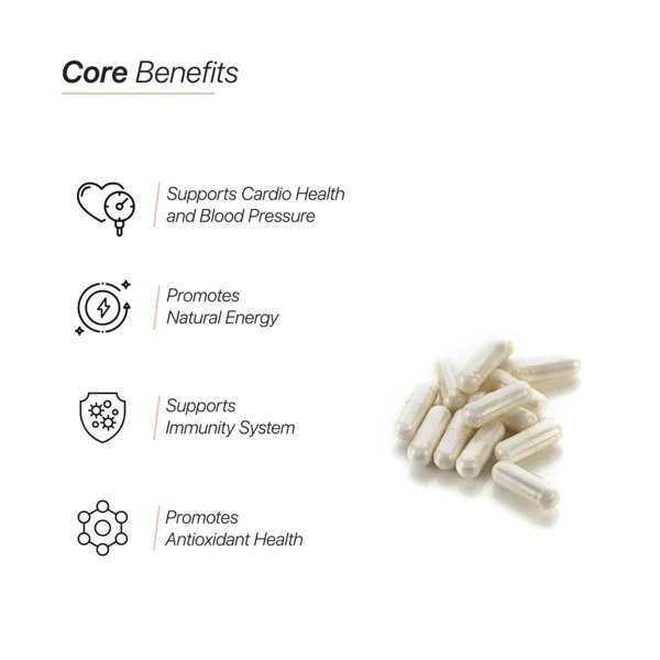 HC Nutrition Nitric Oxide Booster 90 Capsules Best Price in Abu Dhabi