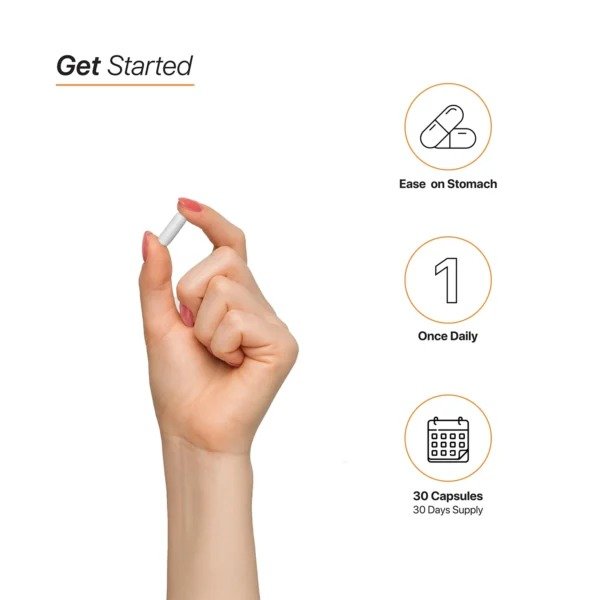 HC Nutrition Probiotics 50 billion 30 Capsules Best Price in Dubai