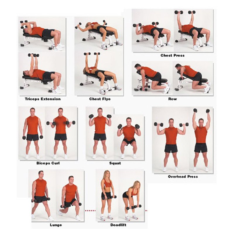 Hexoga Dumbbell 1 Kg Best Price in UAE