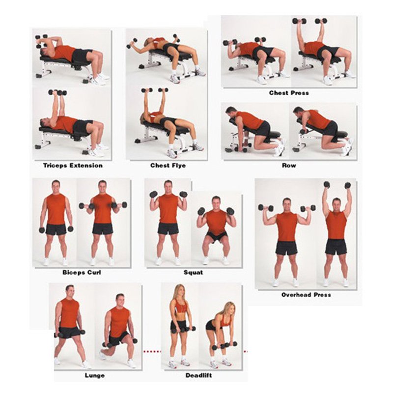 Hexoga Dumbbell 3 Kg Best Price in UAE