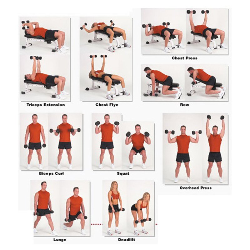 Hexoga Dumbbell 4 Kg Best Price in UAE