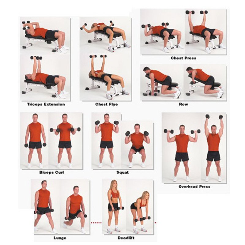 Hexoga Dumbbell 6 Kg Best Price in UAE