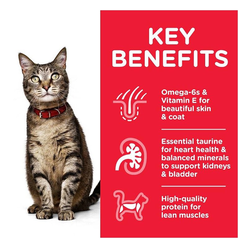 Hills Science Plan Adult 1-6 Cat Food 6 Chicken 3 Beef 3 Ocean Fish 12x85g Best Price in Dubai