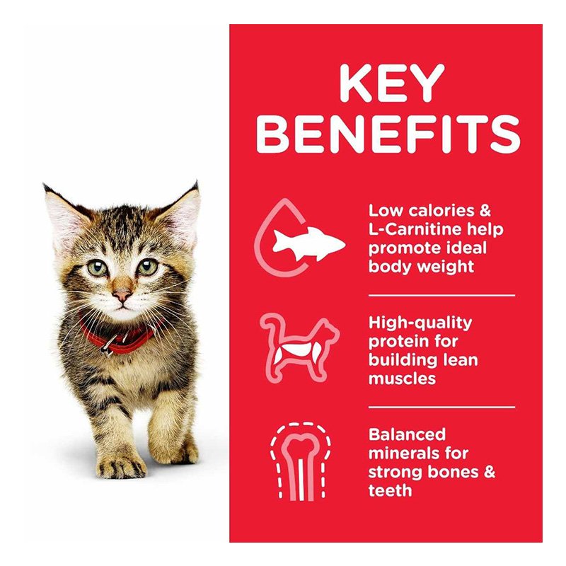 Hills Science Plan Kitten With Tuna Dry Food 1.5 Kg Best Price in Dubai