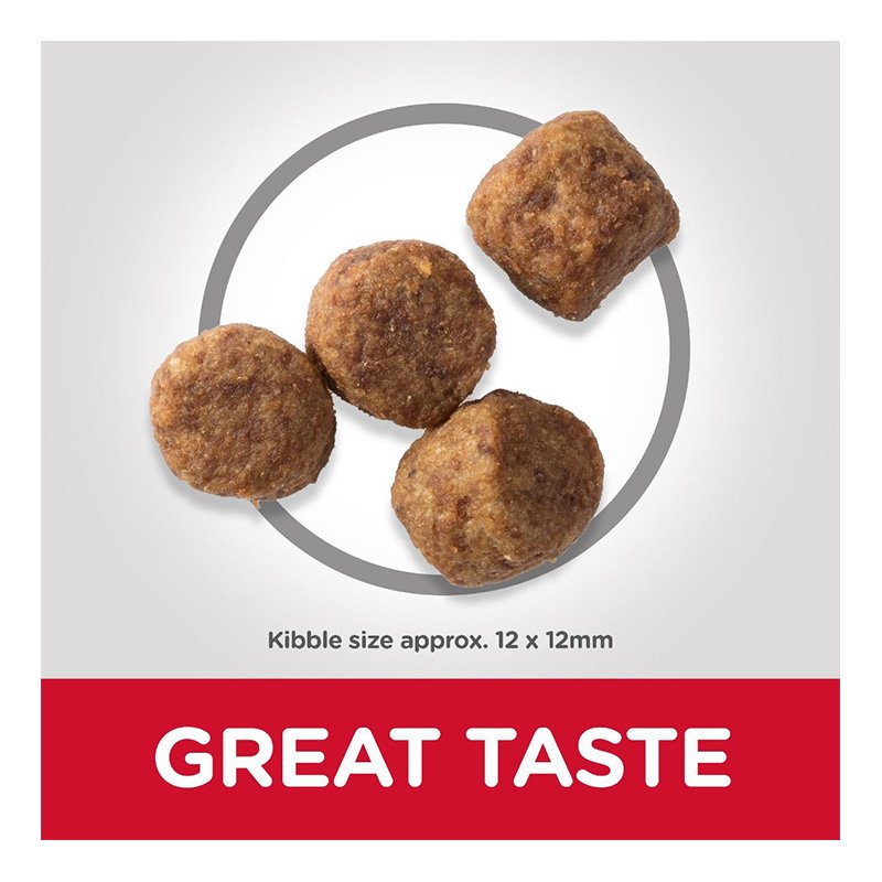 Hills Science Plan Mature 7+ Dog Medium Chicken Dry Food 14 Kg Best Price in Abu Dhabi