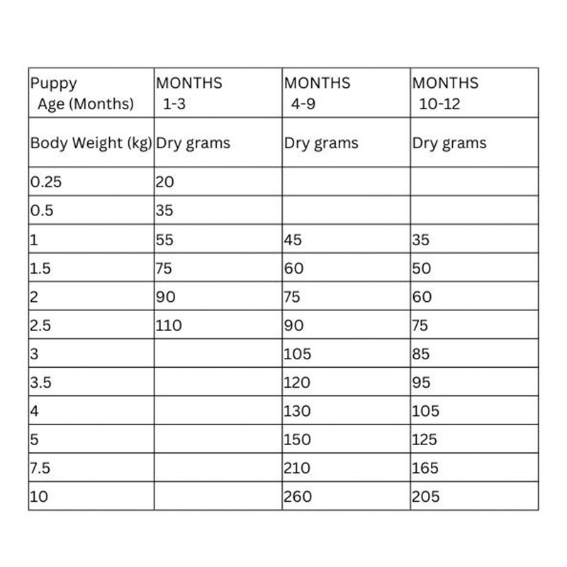 Hills Science Plan Puppy Small & Mini Chicken Dry Food 3 Kg Best Price in Abu Dhabi