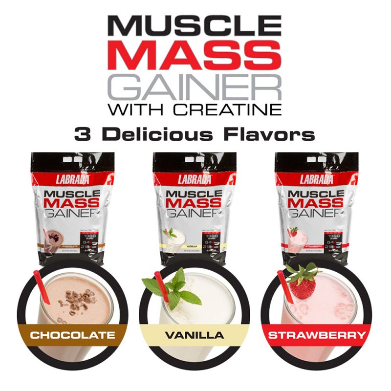Labrada Muscle Mass Gainer 12 lbs 16 Serv Best Price in Abu Dhabi