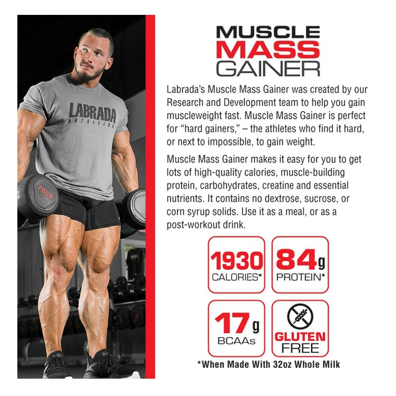 Labrada Muscle Mass Gainer 6 lbs 8 Serv Best Price in Dubai