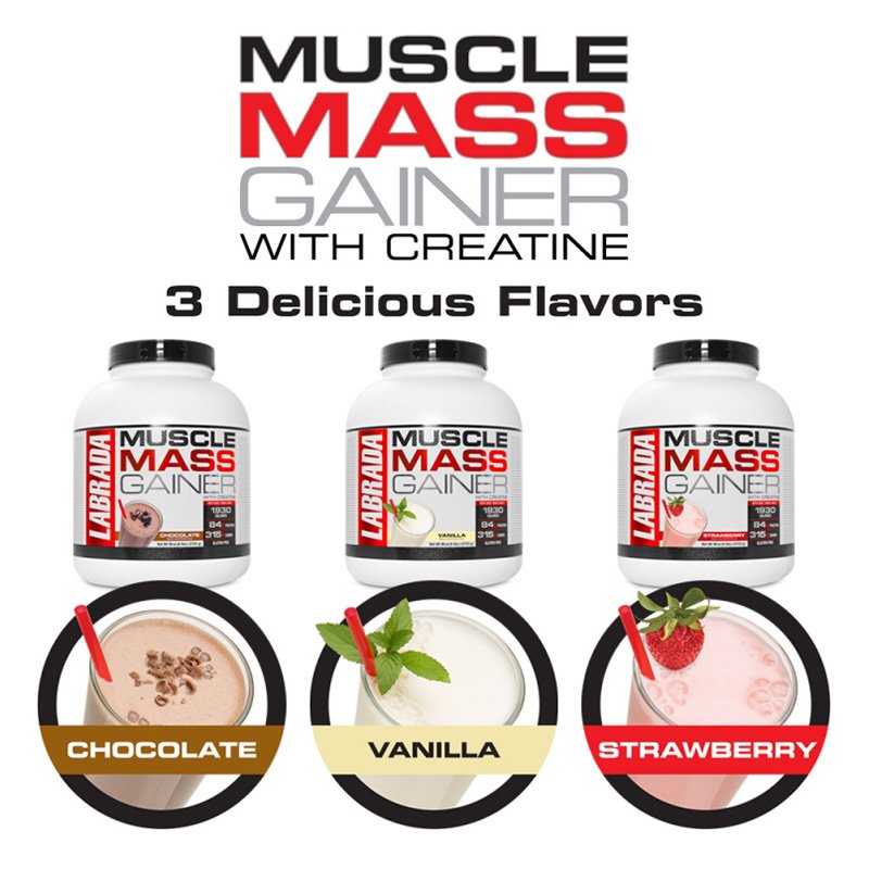 Labrada Muscle Mass Gainer 6 lbs 8 Serv Best Price in Abu Dhabi