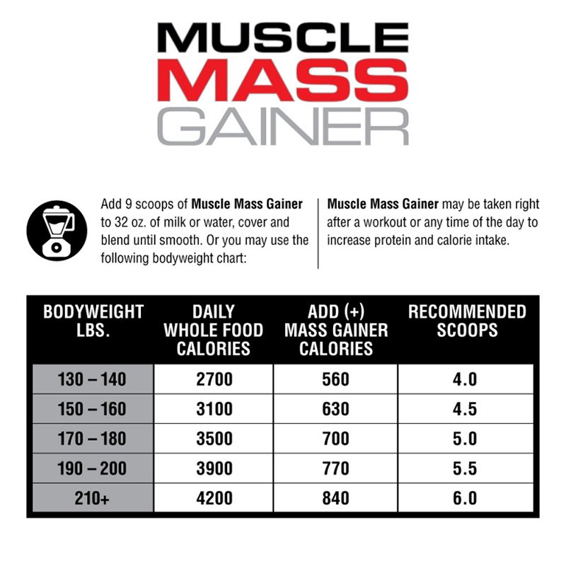 Labrada Muslce Mass Gainer 6lb/8 Best Price in UAE