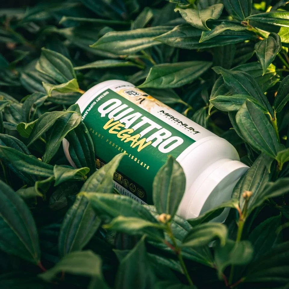 Magnum Quattro Vegan Protein Drink 4 Lb - Chocolate Best Price in Dubai