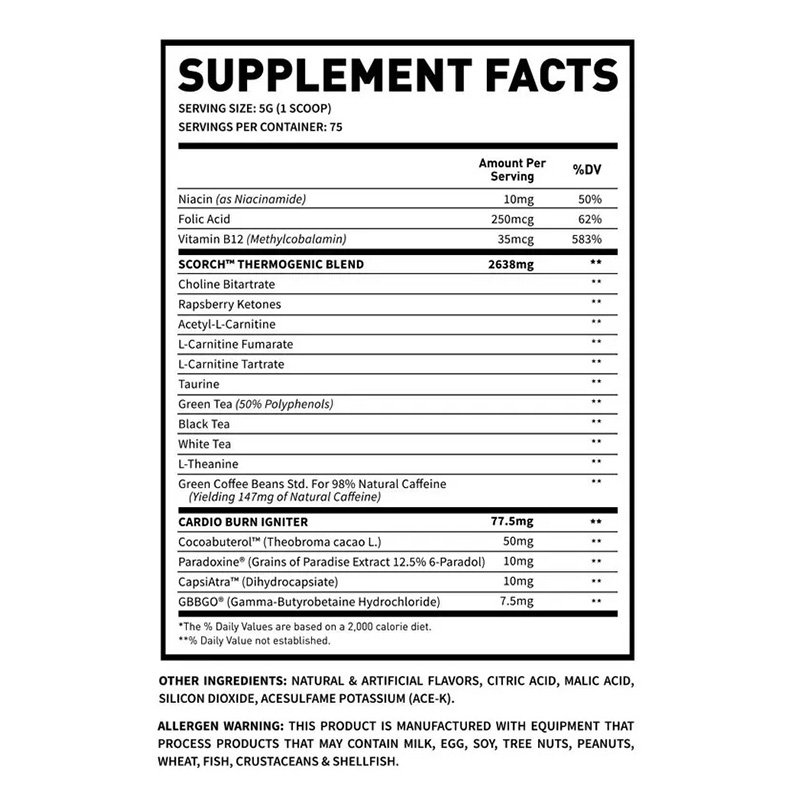 Man Sports Scorch Cardio Burn White Cherryrice 75 Servings Best Price in Dubai