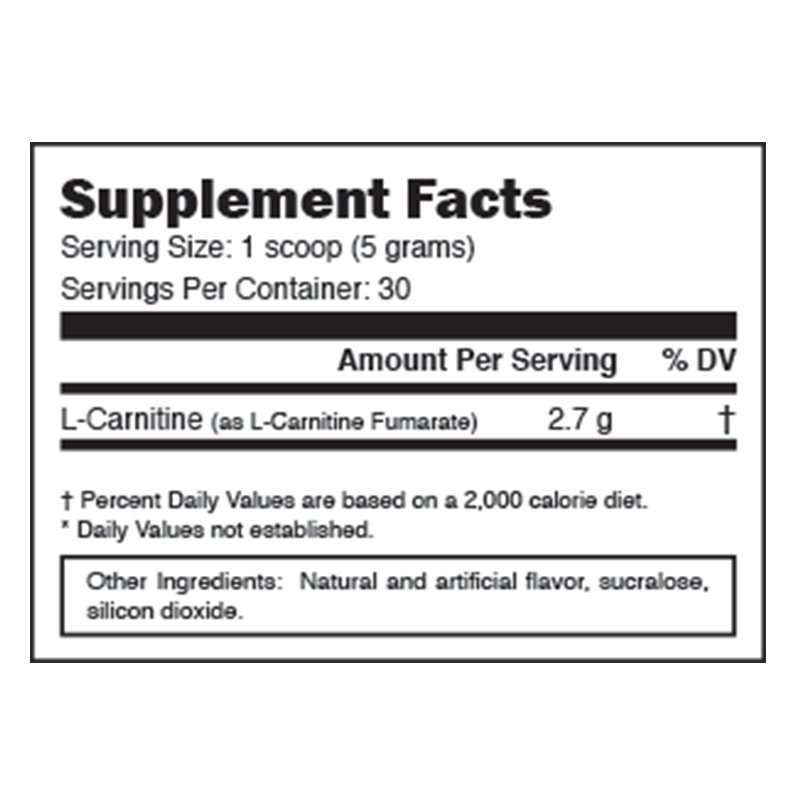 Muscleology Carnitine Powder 150 gm Best Price in UAE