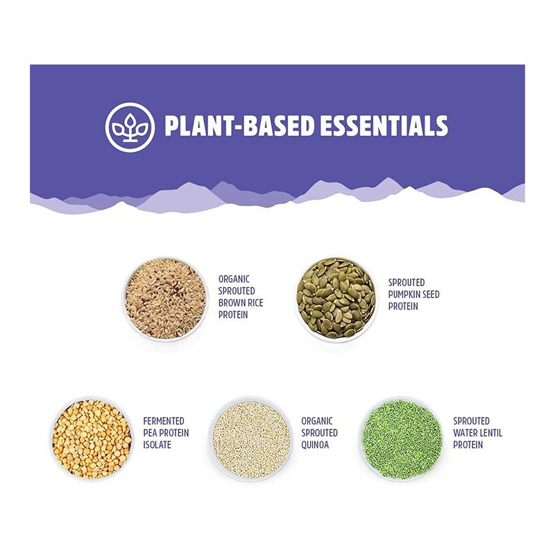 North Coast Naturals Boosted Vegan All-In-One 840G - Chocolate Best Price in Dubai