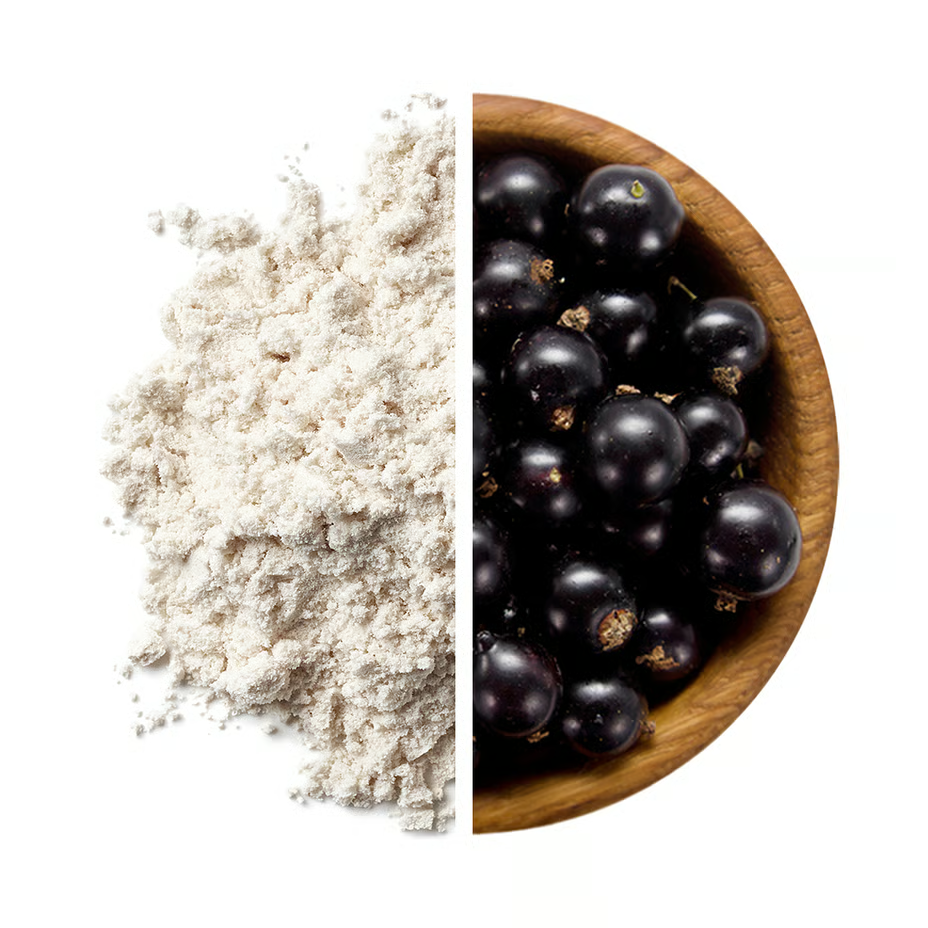 Nutrend N1 Pre Workout Supplement 510 G - Blackcurrant Best Price in Dubai