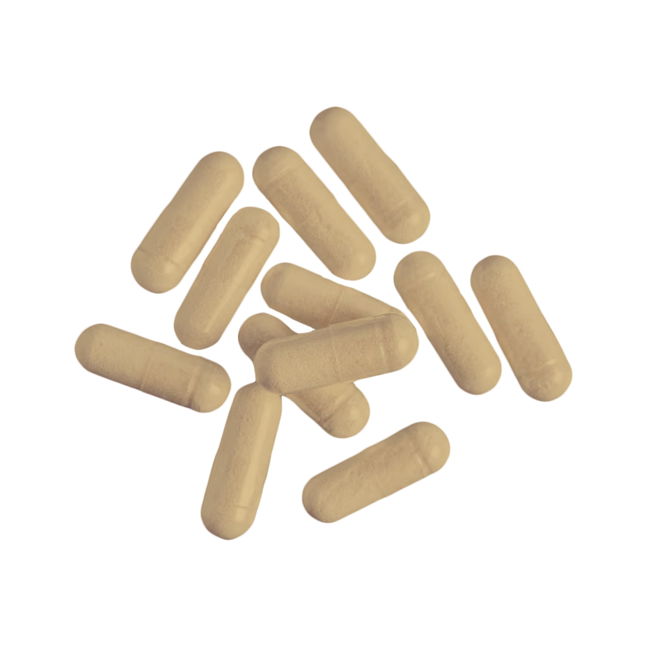 Nutrend Tribulus Terrestris Turbo 60 Caps Best Price in Dubai