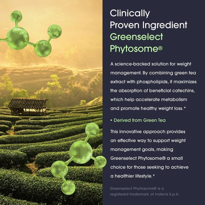 Obvi Collagenic Burn Elite Best Price in  Dubai