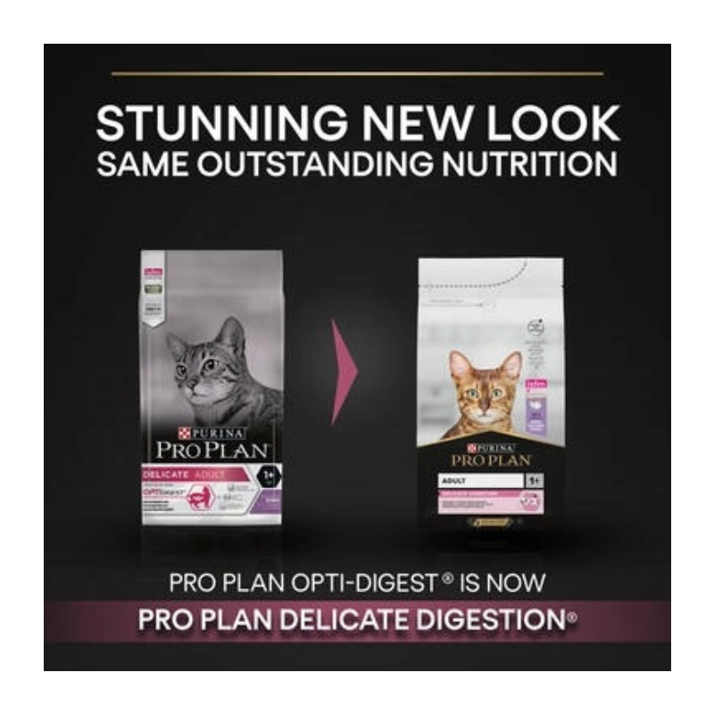 Purina Pro Plan Adult Delicate Digestion Dry Cat Food with Turkey 10kg Best Price in Dubai