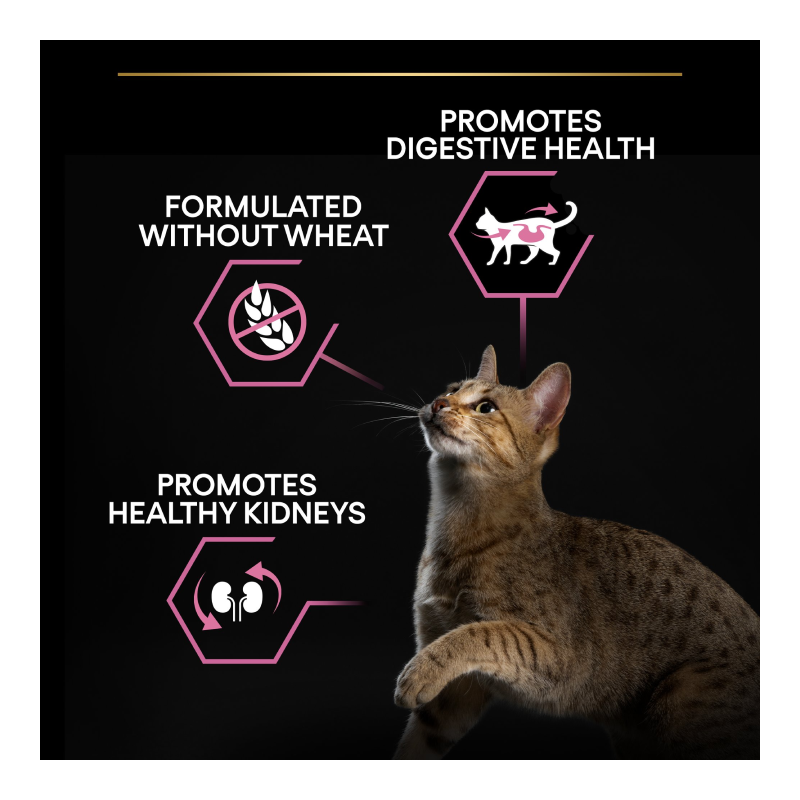 Purina Pro Plan Adult Delicate Digestion Dry Cat Food with Turkey 10kg Best Price in Al Ain