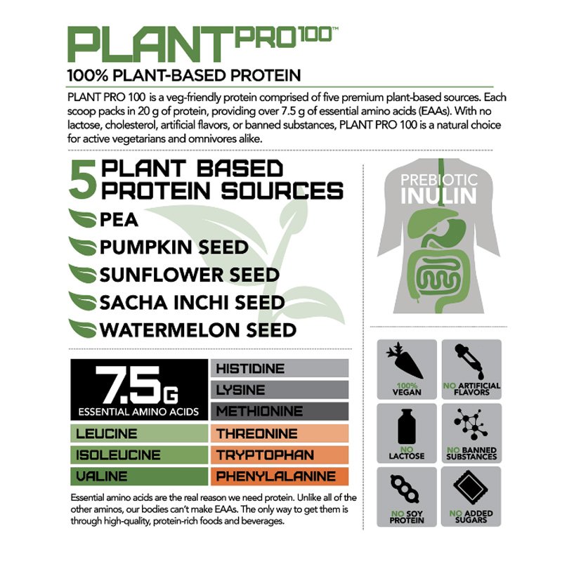 Rival Plant Pro 100 Best Price in UAE