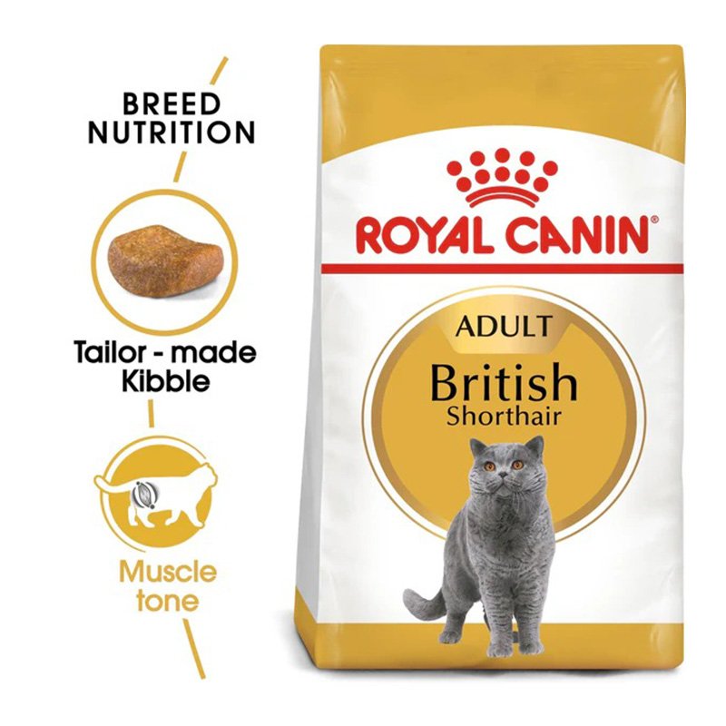 Royal Canin Adult British Shorthair Cat Food 4 Kg Best Price in Abu Dhabi