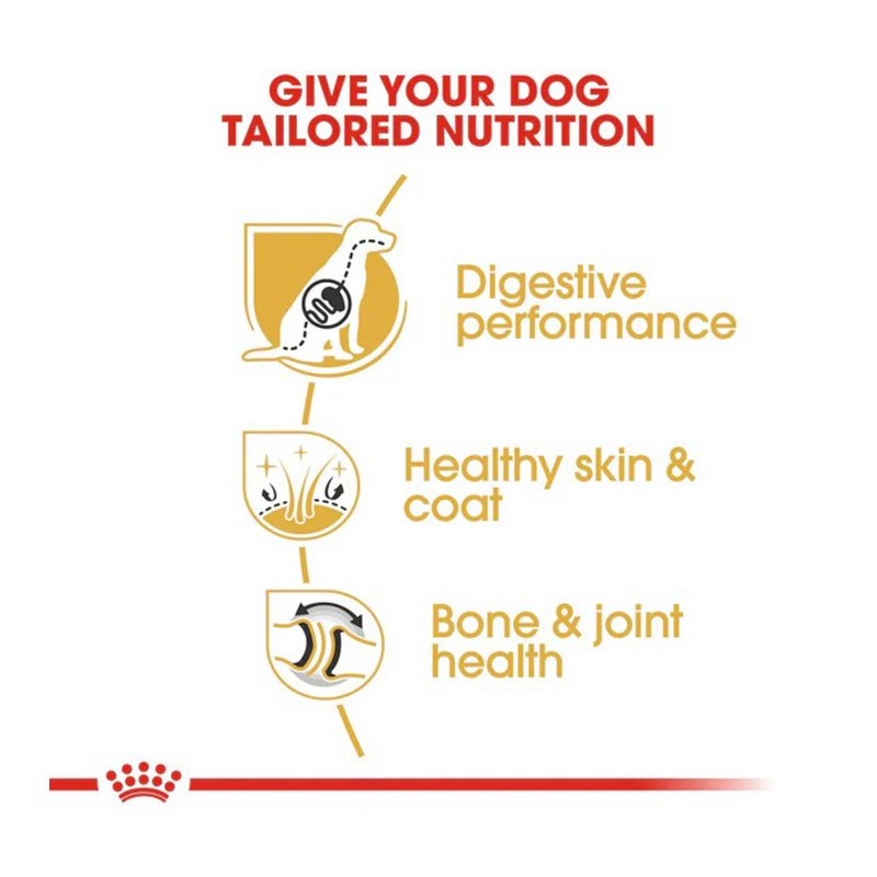 Royal Canin Adult German Shepherd Food 3 Kg Best Price in UAE