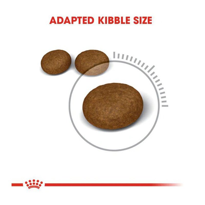 Royal Canin Hair & Skin Care Cat Food 10 Kg Best Price in Dubai