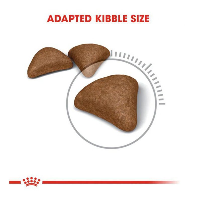 Royal Canin Hairball Care Cat Food 10 Kg Best Price in Dubai