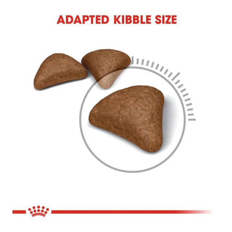 Royal Canin Hairball Care Cat Food 4 Kg Best Price in Dubai