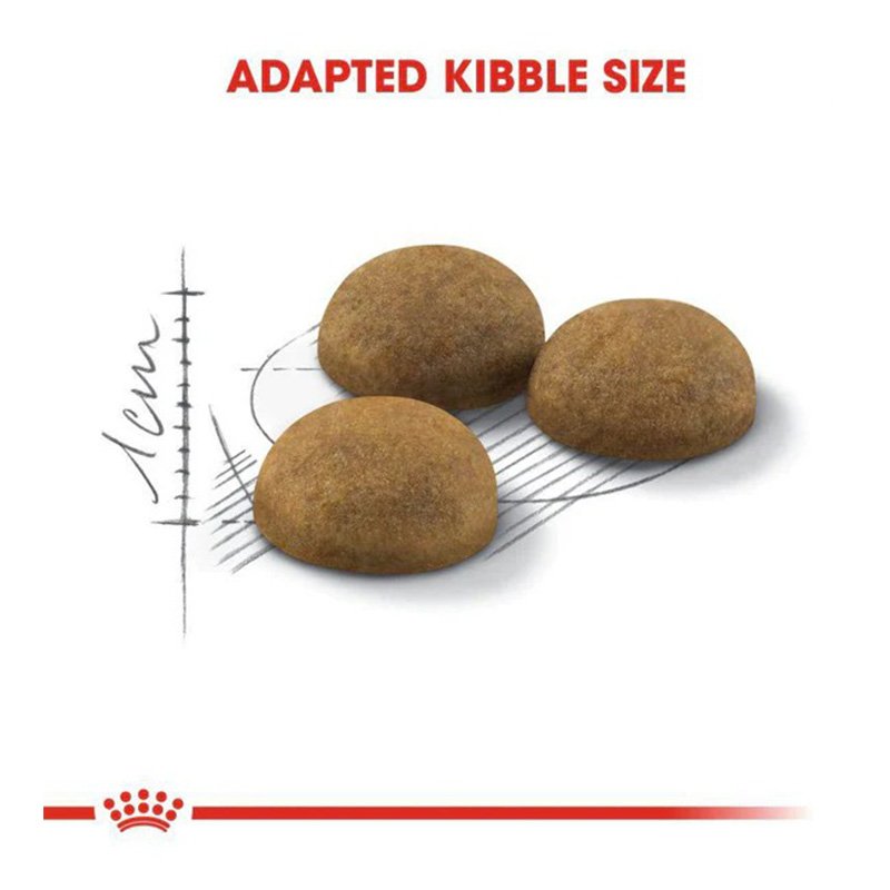 Royal Canin Home Life Indoor Long Hair Adult Cat Food 10 Kg Best Price in Dubai