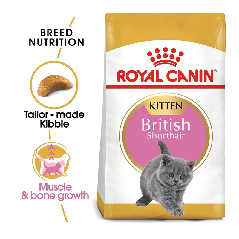 Royal Canin Kitten British Shorthair Food 2 Kg Best Price in Abu Dhabi