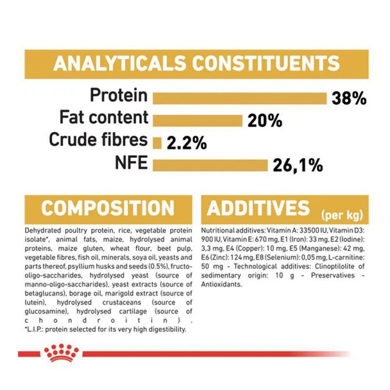 Royal Canin Kitten British Shorthair Food 2 Kg Best Price in Sharjah
