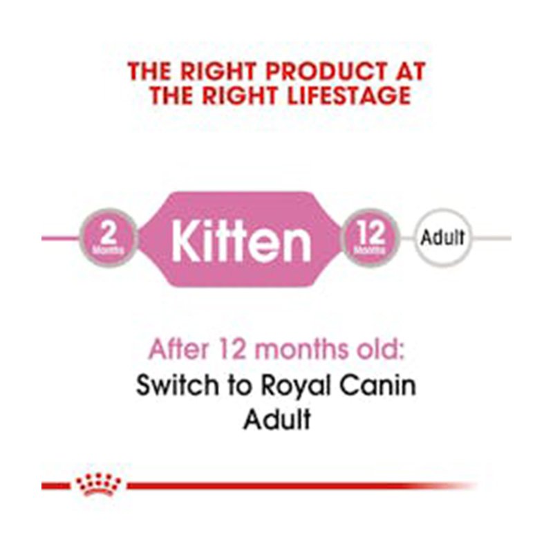 Royal Canin Kitten Gravy Cat Food 85 g x 12 Best Price in Abu Dhabi