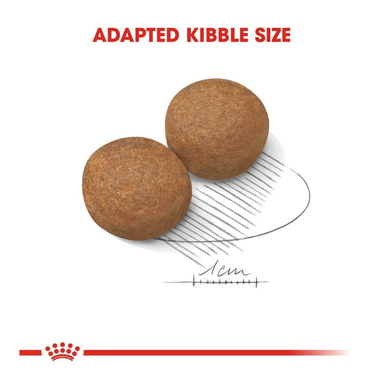 Royal Canin Maxi Adult Dog Food 15 Kg Best Price in Dubai